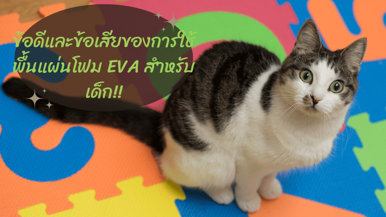 ข้อดีและข้อเสียของการใช้ พื้นแผ่นโฟม EVA สำหรับเด็ก!!