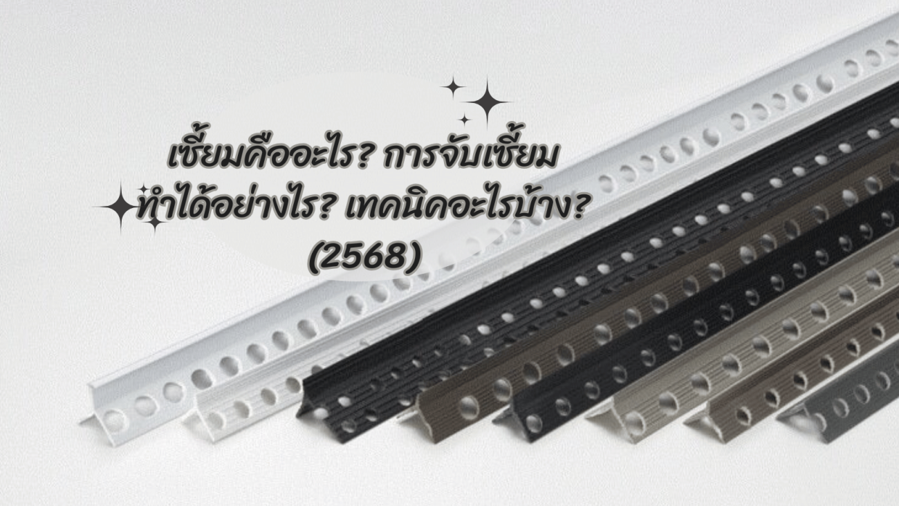 เซี้ยมคืออะไร การจับเซี้ยมทำได้อย่างไร เทคนิคอะไรบ้าง (2568)